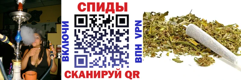 Купить  Новотроицк  Бутират Butirat 