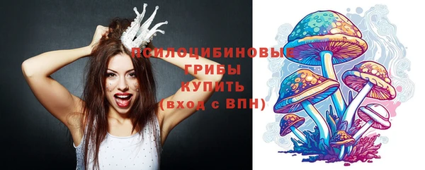 apvp Бронницы