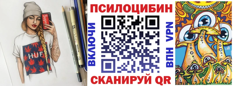 Галлюциногенные грибы Psilocybe  Купить где  Новотроицк 