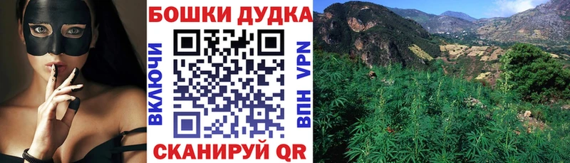 Купить  Новотроицк  Бошки Шишки план 